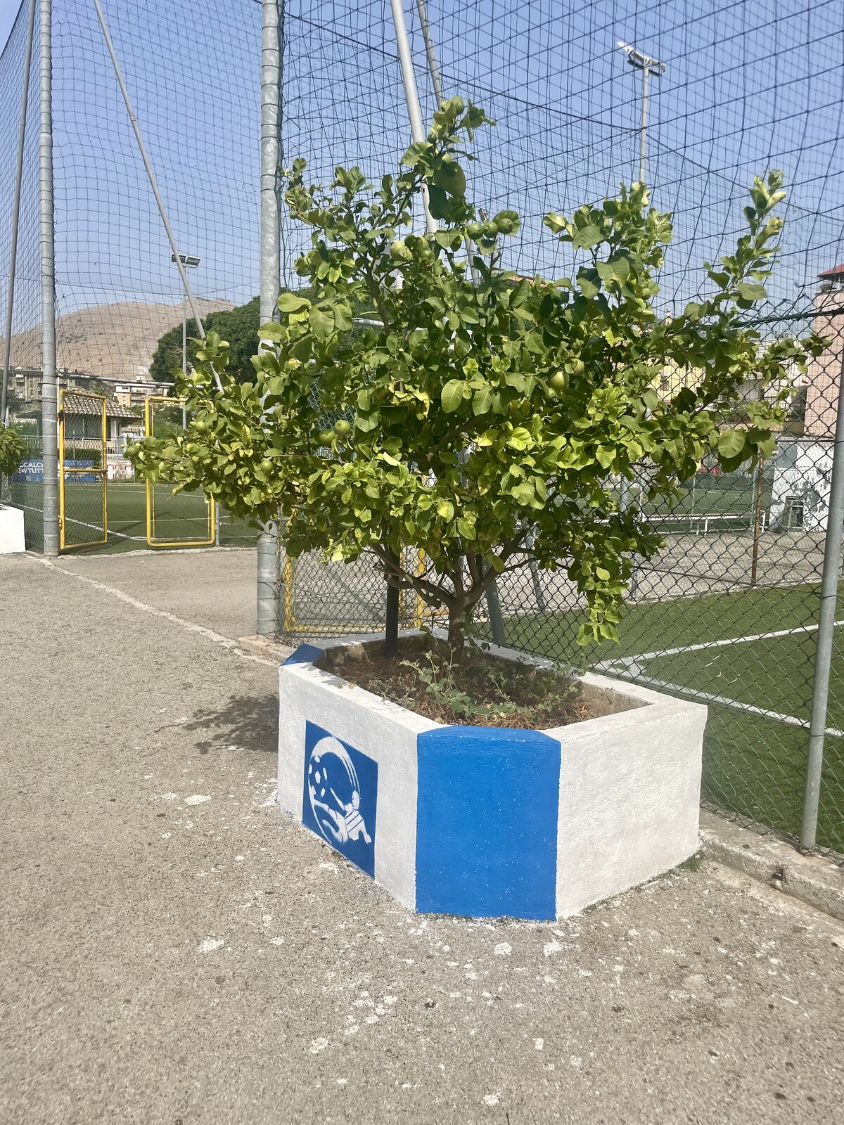Campus estivi